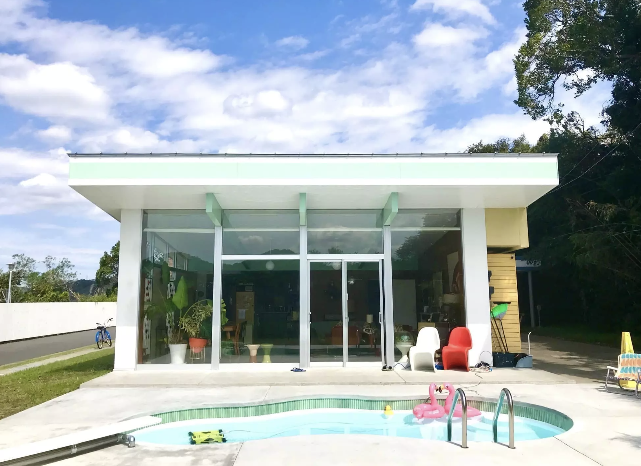 Palms 22